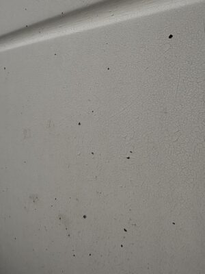 Krackelerad gelcoat som är helt sprucken måste avlägsnas och målas med epoxifärg och Double Coat.